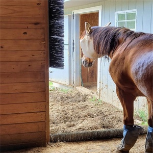 <span class=keywords><strong>Brosse</strong></span> <span class=keywords><strong>de</strong></span> protection contre les copeaux à <span class=keywords><strong>profil</strong></span> <span class=keywords><strong>bas</strong></span> pour portes <span class=keywords><strong>de</strong></span> box à chevaux, utilisation intérieure ou extérieure - Product Image 6