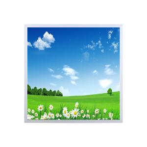 <b>Led</b> Panel <b>Light</b> 600x600mm Aluminum Frame Modern Design For Office School Hospital Ktv <b>Bar</b> Ceiling Lamp With Daisy Pattern - Product Image 1