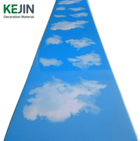 Panel de Techo de PVC Satinado Azul Cielo, Diseño Falso, Tablero de Techo de PVC, Lambris de PVC, Faux Plafond, Tiras de Techo
