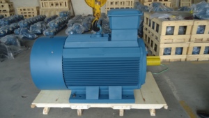 มอเตอร์ไฟฟ้าเหนี่ยวนำแบบอะซิงโครนัสสามเฟส รุ่นประหยัดพลังงาน YEH-250 IE2 30KW 37KW 55KW 380V สำหรับอุตสาหกรรม - Product Image 2
