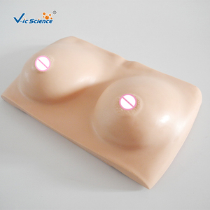 Modelos Avanzados de Examen de Mama para Ciencias Médicas - <span class=keywords><strong>Material</strong></span> de PVC para Educación Médica - Product Image 2