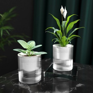 Maceta transparente con sistema de autorriego Light Tide, maceta minimalista para plantas de interior. - Product Image 1