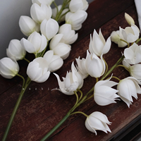 Hoge Kwaliteit Witte Kunstmatige Lelie Van De Vallei Real Touch Bloemen Pu Bloem Voor Huis & Hotel Decor Realistisch Bloemenontwerp