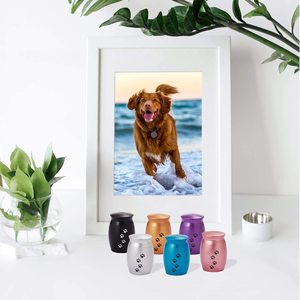 Urnes funéraires personnalisées Petdom en acier inoxydable pour animaux de compagnie, motif patte grise, pour le stockage des cendres, en aluminium de qualité supérieure - Product Image 4