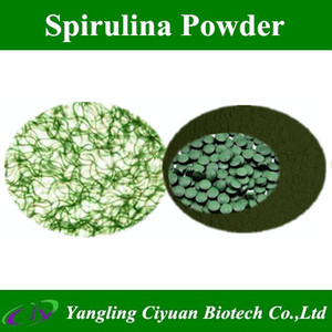 <span class=keywords><strong>Poudre</strong></span> de protéines de <span class=keywords><strong>spiruline</strong></span> biologique pour aliments pour animaux, prix d'usine en vrac - Product Image 4