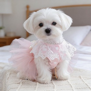Falda de tul rosa para perro, vestido estilo princesa, tutú de encaje de hadas, atuendo para mascotas, para las cuatro estaciones - Product Image 4