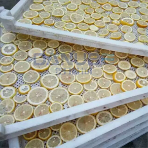 Máquina deshidratadora de naranjas multifuncional automática de fábrica, secadora de rodajas de naranja. - Product Image 2