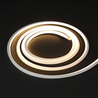 Lampu LED Neon Strip 3D Planar Emitting Outdoor IP67 10x10mm 120LEDs/m, Tali Silikon Fleksibel yang Dapat Dibengkokkan Sesuka Hati untuk Fasad
