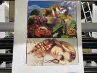 Machine d'impression flexographique 6 couleurs Machine d'impression flexographique de sacs en plastique 6 couleurs