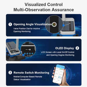 <b>Remote</b> Control Digital Three Way High <b>Switch</b> 3 Way for Smart Agriculture Irrigation - Product Image 3