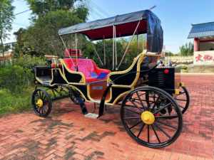 Nouvelle calèche royale électrique de luxe pour la visite des sites, avec peinture personnalisée, 4-6 places pour mariages et fêtes - Product Image 3