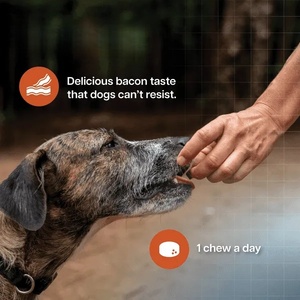 Complément alimentaire pour chiens de compagnie, marque privée OEM/ODM, soin musculaire, friandises molles, améliore la croissance musculaire, renforce les os pour les grands chiens - Product Image 6
