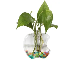 apple shaped hanging glass terrarium vase with hole
