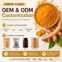 Poudre d'extrait de curcuma LongBio 95% curcumine, extrait de racine de Curcuma Longa pour compléments alimentaires et boissons, OEM ODM