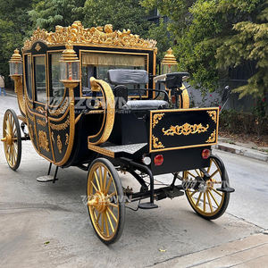 最优惠价格皇家马车豪华轿车电动车马车皇家马车/电动观光马车 - Product Image 4