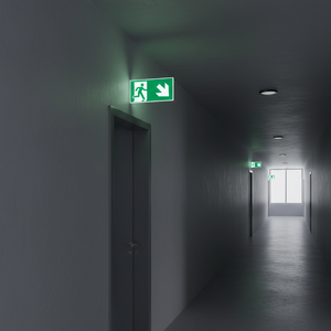 Uscita di emergenza verso il basso segno freccia destra-220 in alluminio luminescente * 120mm - Product Image 3
