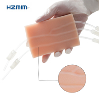 Nouveau Mannequin d'Entraînement à la Prélèvement Sanguin Intraveineux - Modèle de Pratique IV en Silicone pour la Simulation en Sciences Médicales