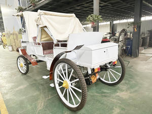 Buggy électrique de tourisme classique Victoria de haute qualité avec sièges confortables – Voiture de luxe pour sites touristiques et hôtels - Product Image 2
