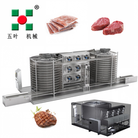 Équipement de congélation spirale IQF en SUS304, machine de surgélation rapide à commande PLC pour la transformation industrielle du poisson, des crevettes, de la viande, des steaks et des pâtes