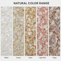 Flocons de nacre naturelle blanche en vrac de 3 à 5 mm pour terrazzo, revêtement de sol en résine liée, agrégat décoratif en coquillages