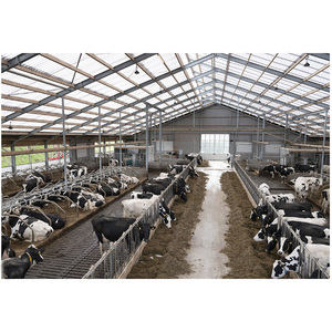 Rifugio per Bestiame a Basso Costo, Stalla per Allevamento Lattiero-Caseario, Struttura in Acciaio per Bovini - Product Image 6