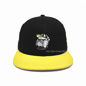 Casquette Snapback 6 panneaux brodée en 2D 3D avec logo personnalisable, style Streetwear jeune et élégant pour adultes, fabriquée au Vietnam Factory - Product Image 1