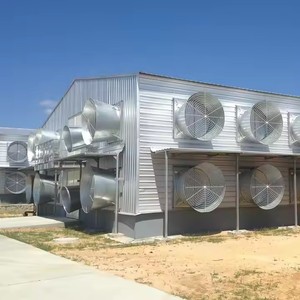 Entrepôt de construction d'immeubles pour poulailler personnalisé à bas prix à vendre Structure en acier préfabriquée sur mesure - Product Image 2