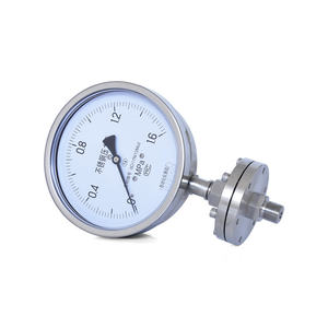 सभी स्टेनलेस स्टील थ्रेडेड प्रकार डायाफ्राम सील दबाव गेज - Product Image 5