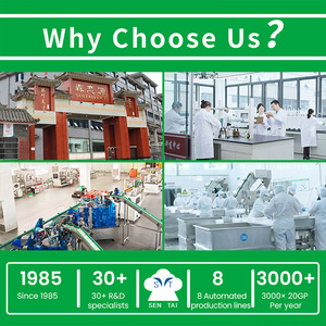 Nouilles de salade au <span class=keywords><strong>wasabi</strong></span>, sésame et konjac, faibles en glucides, végétaliennes, sans gluten, shirataki pour des repas sains, cuisine asiatique, boîte pour adultes - Product Image 6