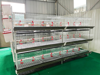 Cage pour Poulets de Chair 3/4 Étages 60-80 Oiseaux Type H Équipement de Batterie Galvanisé Cages à Poulets de Chair pour Élevage Avicole à Domicile