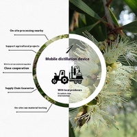 Huile Essentielle Naturelle de Niaouli (Melaleuca Viridiflora) de Qualité Thérapeutique pour Soins de la Peau et Acné – Marque Privée Personnalisée, Vente en Gros