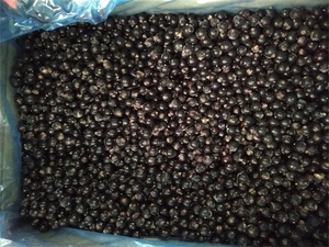 Quả Mọng đông lạnh Hữu Cơ iqf Hộp bao bì trái cây đông lạnh nho đen - Product Image 4