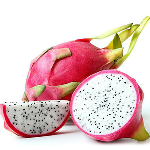 888 Camion de transport de fruits importés, dédouanement, logistique à chaîne du froid, fret international, origine Chine, marchandises générales - Product Image 1