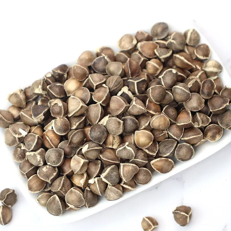 Venta de semillas de moringa de alta calidad, planta para perder peso, té, semillas de moringa