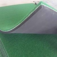 Usine personnalisée toutes les tailles de Logo Golf herbe putting tapis vert Mini terrain de Golf pratique de Golf professionnel tapis de mise