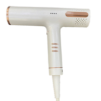 Nouvelles idées de produits Sèche-cheveux ionique professionnel 1800W à grande vitesse Sèche-cheveux BLDC rapide avec 110000 tr/min électrique pour hôtels