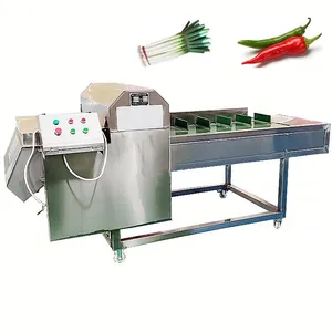 Máquina automática de corte de raiz de espinafre e cebola verde, cenoura, berinjela, pimenta e haste