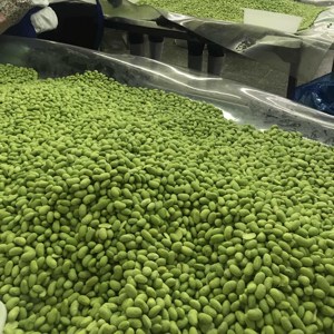 ถั่วเหลืองแช่แข็ง/สไตล์ญี่ปุ่น<span class=keywords><strong>Edamame</strong></span>/ปอกเปลือก<span class=keywords><strong>Edamame</strong></span> - Product Image 6