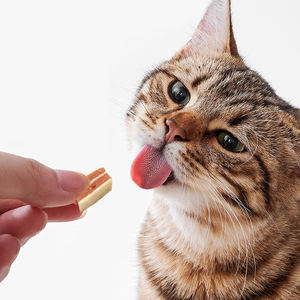 OEM ODM fabbrica personalizzato pollo merluzzo Sandwich dadi tratta delizioso cibo per animali domestici per cane gatto Snack fornitore a prezzo di fabbrica - Product Image 4