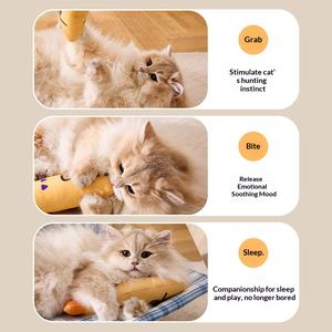 Brinquedo para Gato com Som de Explosão Transfronteiriça, Modelo de Peixe com Erva Gato DJK40 Zhejiang - Product Image 4