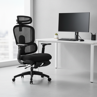 Chaise ergonomique intelligente et réglable en maille avec support lombaire dynamique, structure en plastique, style exécutif, garantie 3 ans pour la maison moderne