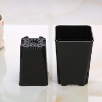 Pot Tanam Bibit Mini Plastik Transparan Persegi 2/3/4/5 Inci, Pot Kebun untuk Sukulen dan Kaktus