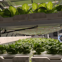 Reinfa Farmhydro : Système hydroponique NFT à haut rendement pour les légumes-feuilles