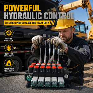 Control Hidráulico Proporcional Industrial con Solenoide, 24V 31.5MPa 100L/min, para Grúas y Camiones, Personalizado OEM CE - Product Image 4
