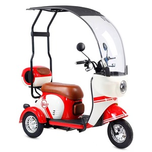 Nouveau modèle de tricycle de loisirs 1000W, moto sportive tendance avec moteur 48V et 60V, tricycle tout-terrain pour adultes - Product Image 1