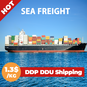 Entreprise de logistique professionnelle en Chine, fret maritime DDP vers l'Arabie Saoudite, les Émirats arabes unis, les États-Unis, le Royaume-Uni, l'Espagne, Dubaï, service express maritime porte-à-porte - Product Image 4