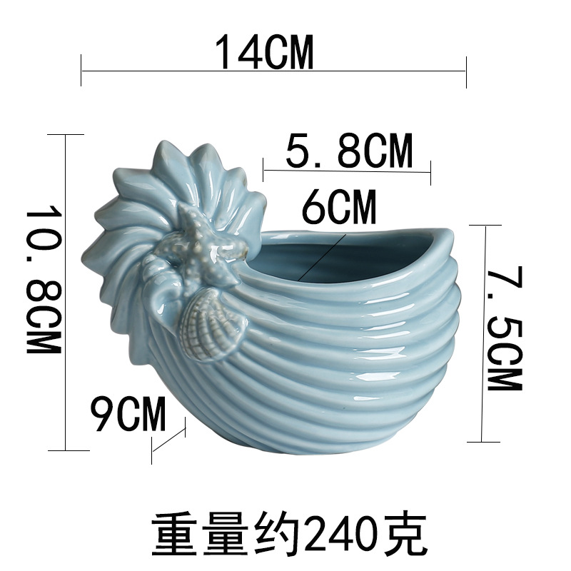 Conchiglia di pancia grassa verde