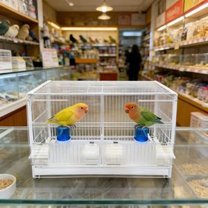 Gabbia per Uccelli Pieghevole Personalizzabile, Voliera per Pappagalli su Misura, Gabbia per Allevamento Uccelli - Product Image 2