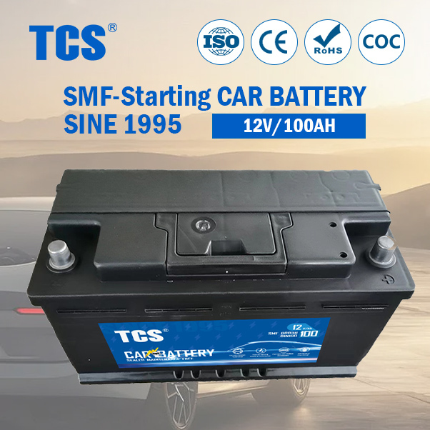 Tcs 60038mf Maintenance Free Car Starting Battery DIN100 12V100ah Auto Storage Battery