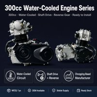 Moteur de moto refroidi par eau de 300 cm³, assemblage complet avec marche arrière pour les fabricants et assemblateurs de véhicules utilitaires